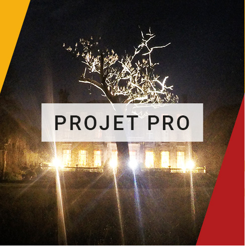 Projet professionnel